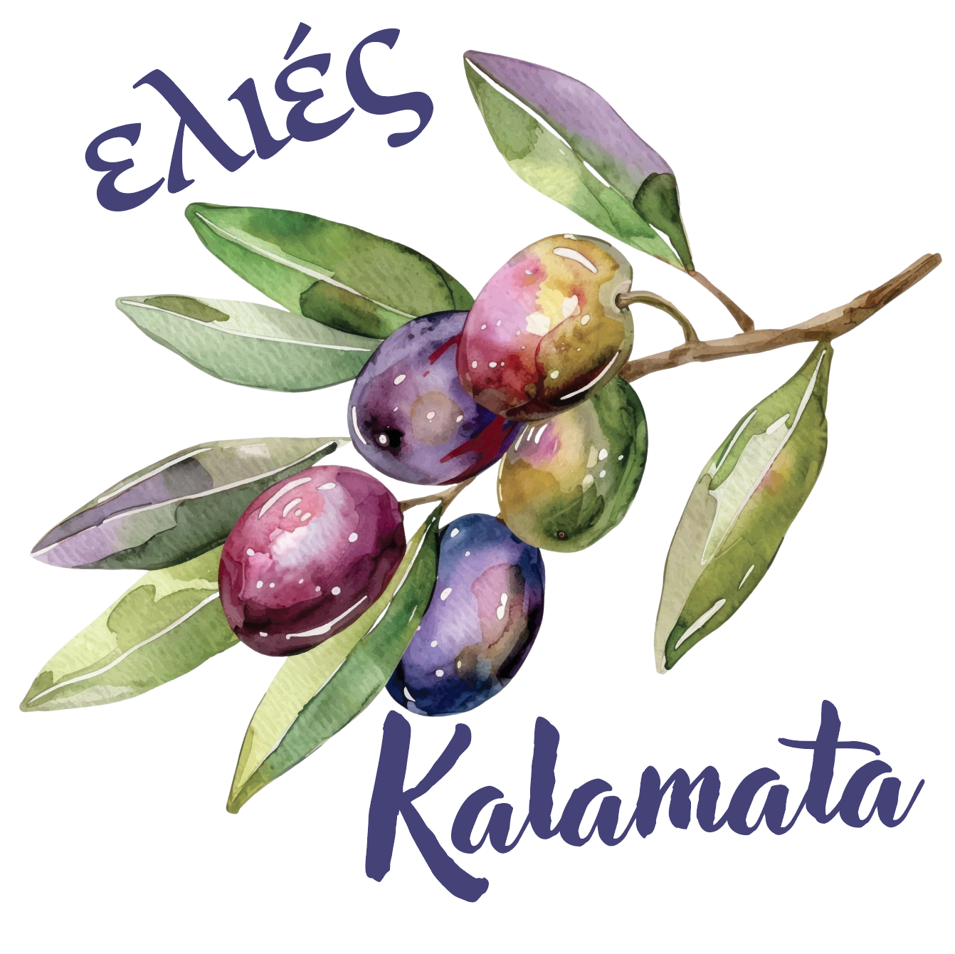 Epicurean Collection - Olives from Kalamata, Greece