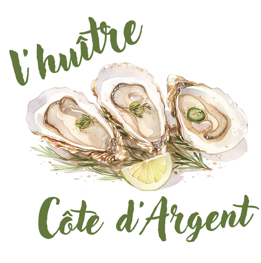 Epicurean Collection - Oysters from Côte d'Argent, France