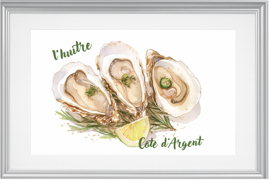 Oysters from Côte d'Argent, France: Premium Matte Paper Poster 30x40 cm / 12x16″